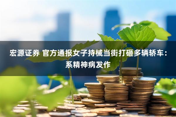 宏源证券 官方通报女子持械当街打砸多辆轿车：系精神病发作