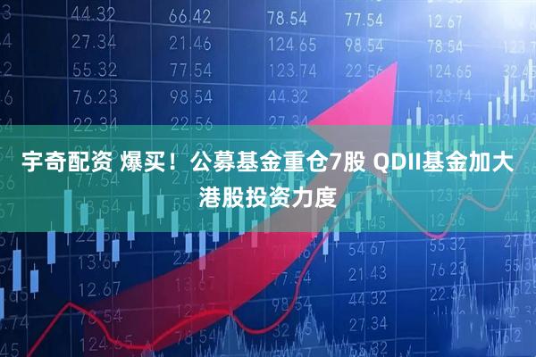 宇奇配资 爆买！公募基金重仓7股 QDII基金加大港股投资力度