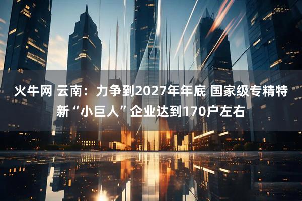 火牛网 云南：力争到2027年年底 国家级专精特新“小巨人”企业达到170户左右