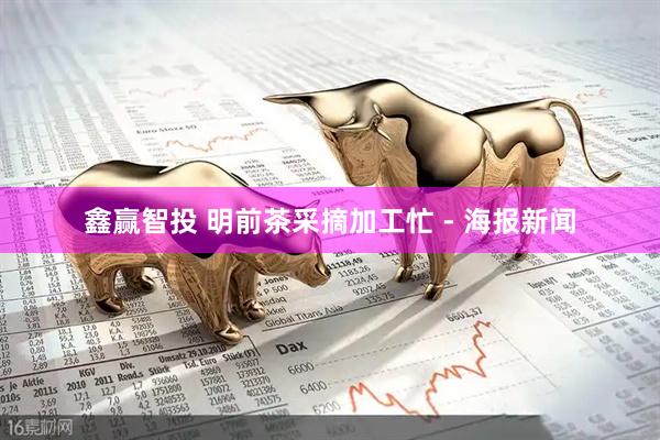 鑫赢智投 明前茶采摘加工忙 - 海报新闻