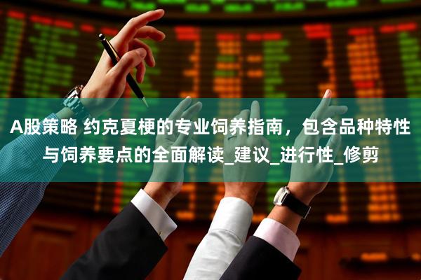 A股策略 约克夏梗的专业饲养指南，包含品种特性与饲养要点的全面解读_建议_进行性_修剪
