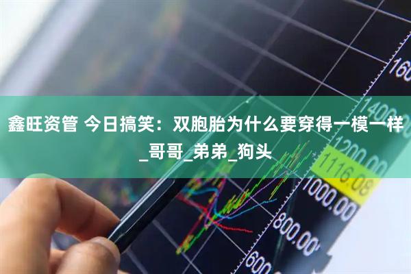 鑫旺资管 今日搞笑：双胞胎为什么要穿得一模一样_哥哥_弟弟_狗头