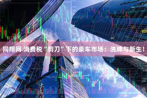 同翔网 消费税“剪刀”下的豪车市场：洗牌与新生！