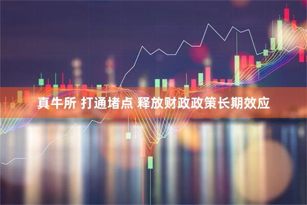 真牛所 打通堵点 释放财政政策长期效应