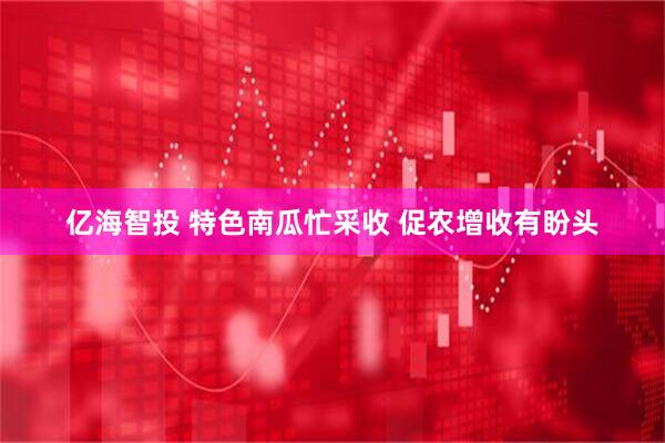 亿海智投 特色南瓜忙采收 促农增收有盼头