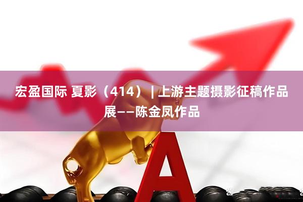 宏盈国际 夏影（414） | 上游主题摄影征稿作品展——陈金凤作品