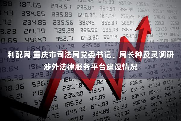 利配网 重庆市司法局党委书记、局长种及灵调研涉外法律服务平台建设情况