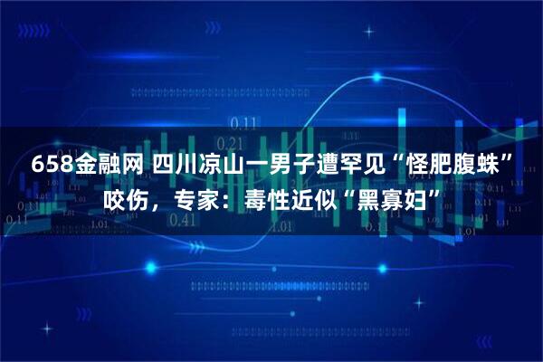 658金融网 四川凉山一男子遭罕见“怪肥腹蛛”咬伤,专家:毒性近似“黑寡妇”