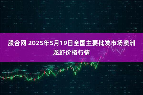 股合网 2025年5月19日全国主要批发市场澳洲龙虾价格行情