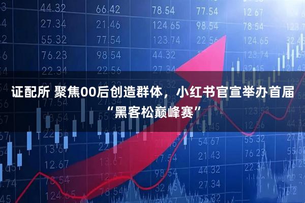 证配所 聚焦00后创造群体,小红书官宣举办首届“黑客松巅峰赛”